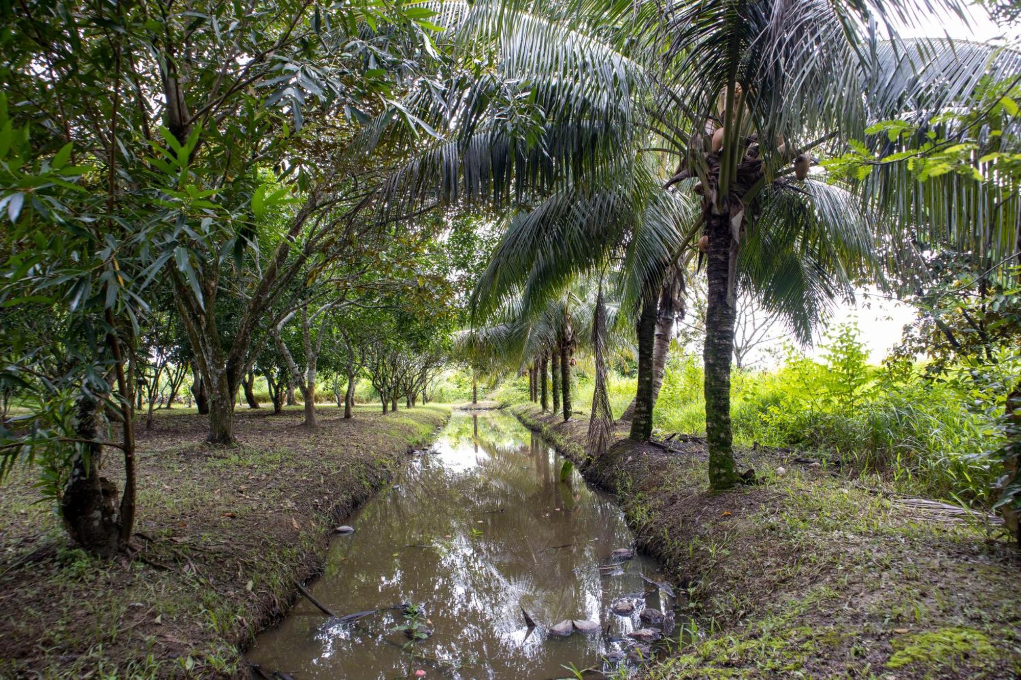 Sabajo Appartement Verhuur Paramaribo Exteriör bild